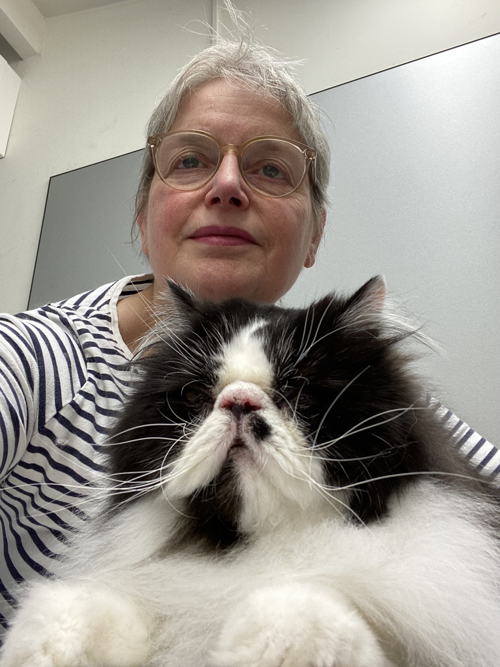 Ingrid Nuijten met een zwart-witte Perzische kat op schoot